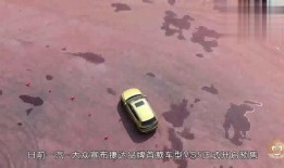 大众爆料视频最新消息,大众汽车新动态揭秘